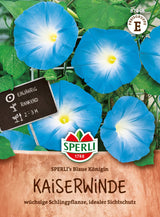 SPERLI Prunkwinde SPERLI's Blaue Königin