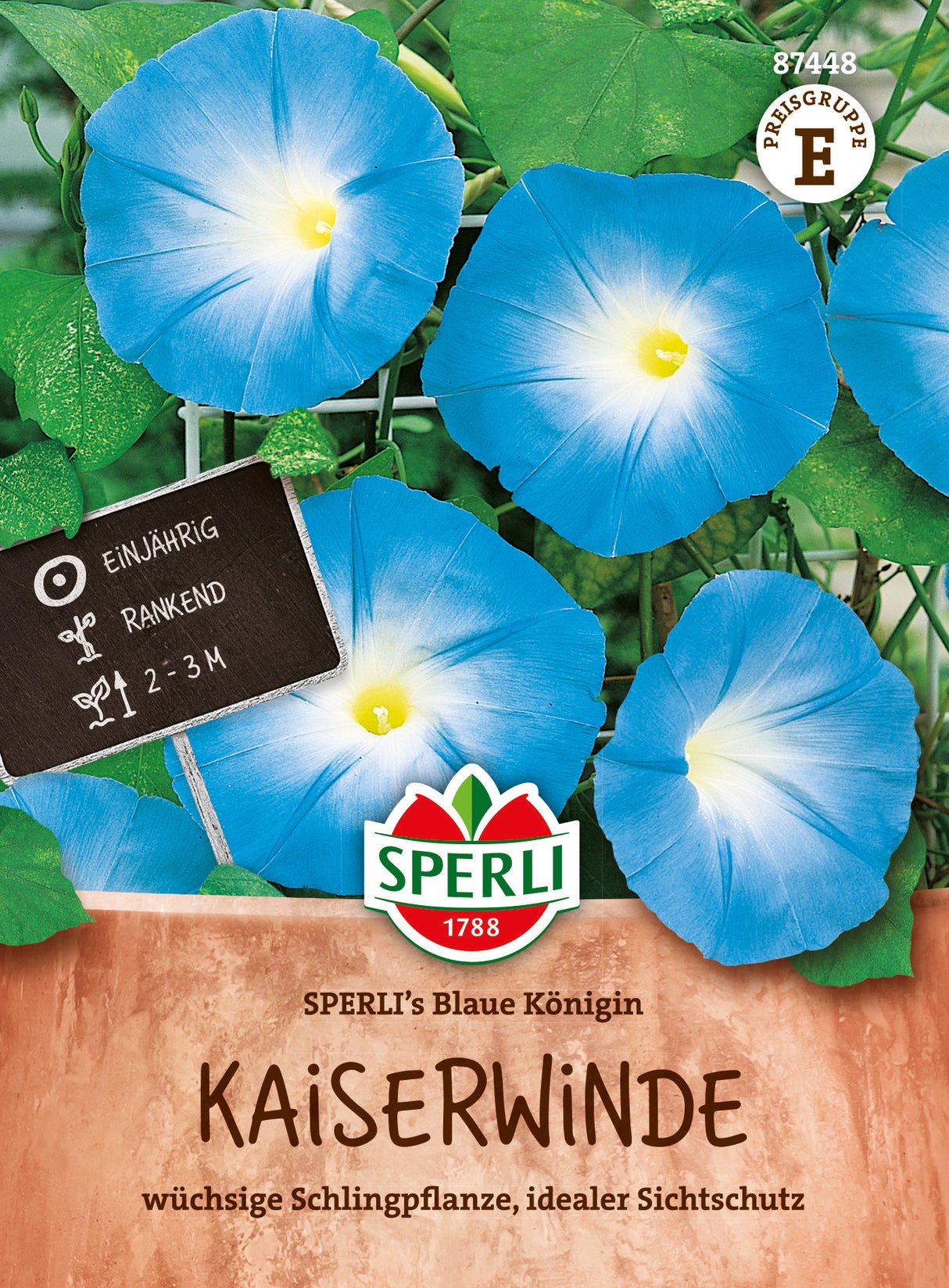 SPERLI Prunkwinde SPERLI's Blaue Königin
