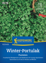 Kiepenkerl Portulak Postelein