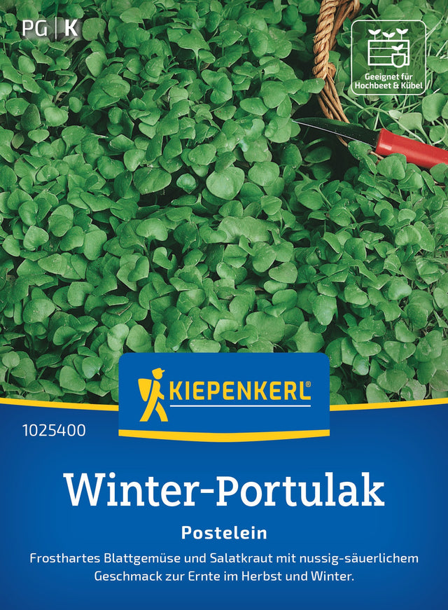 Kiepenkerl Portulak Postelein