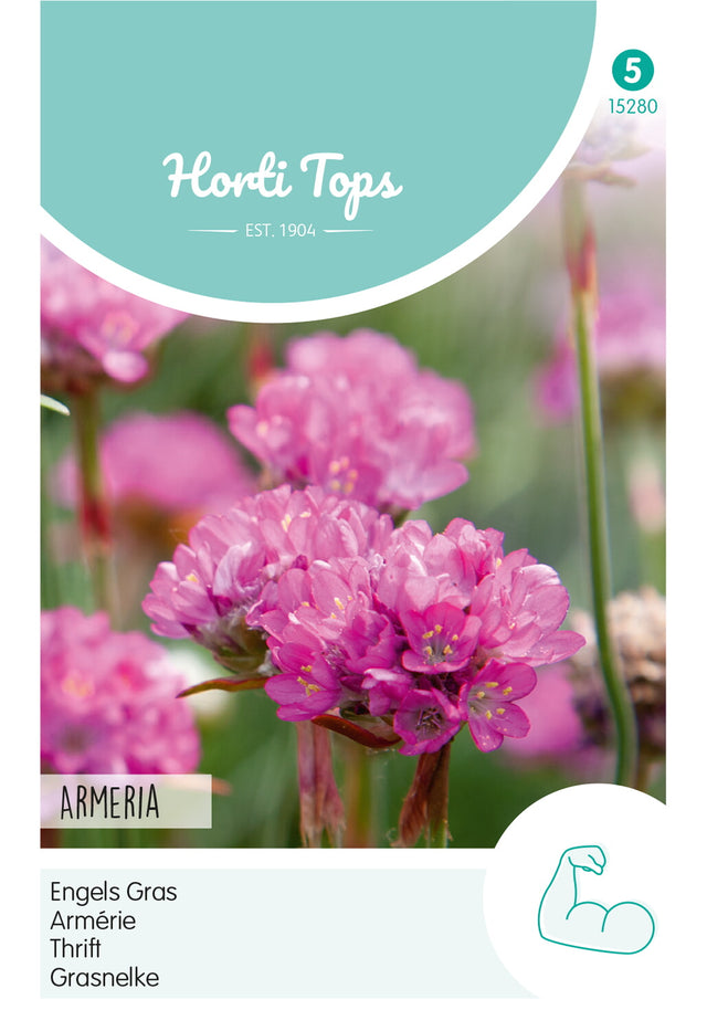 Horti Tops Grasnelke Splendens