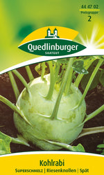 Quedlinburger Kohlrabi Superschmelz