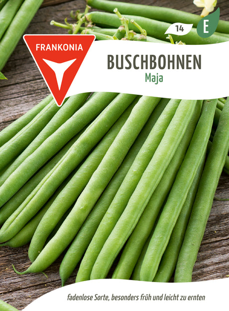 Frankonia Samen Buschbohnen Maja