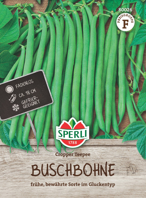 SPERLI Buschbohne Cropper Teepee