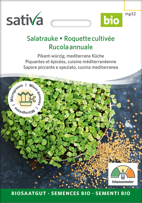 Sativa Keimsprossen Salatrauke