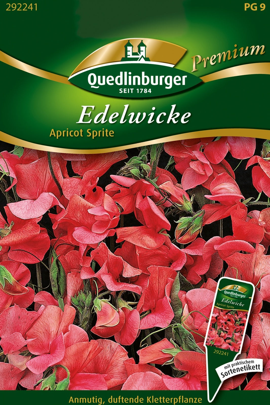 Quedlinburger Duftwicke Apricot Sprite