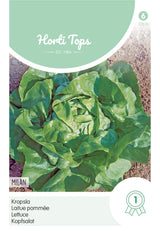 Horti Tops Kopfsalat Milan