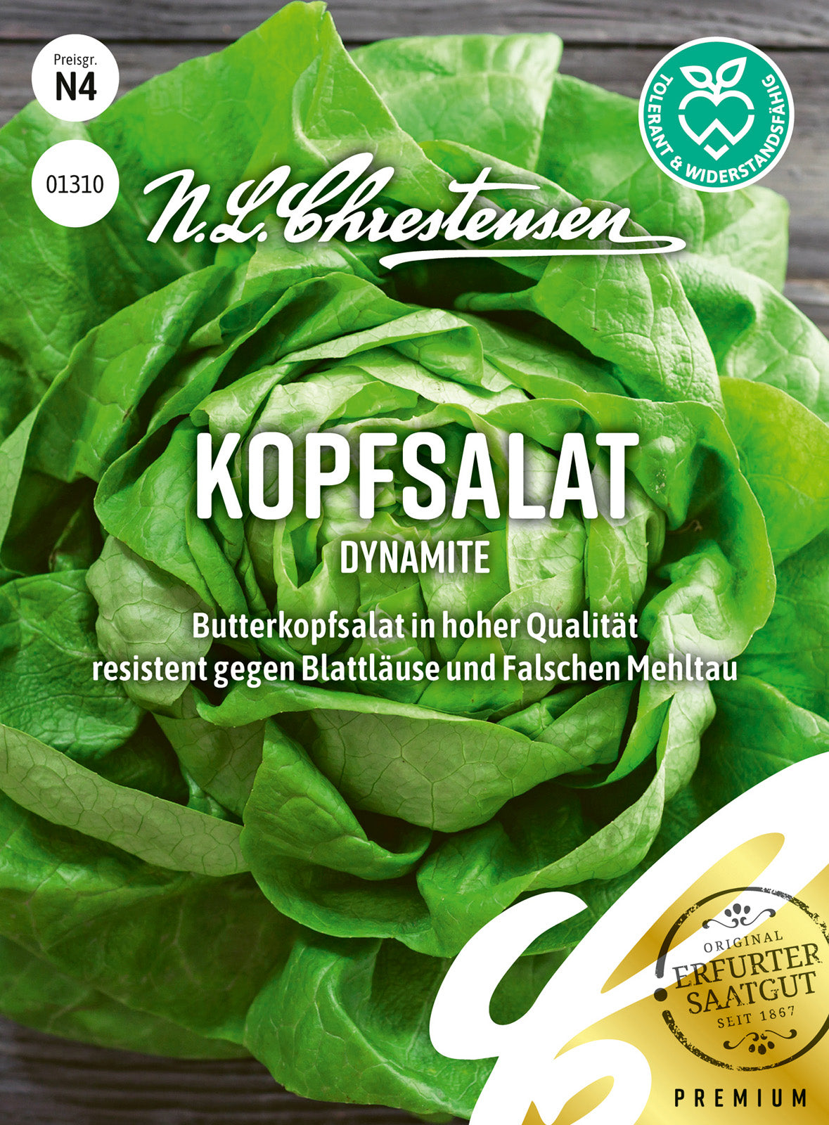 N.L. Chrestensen Kopfsalat Dynamite