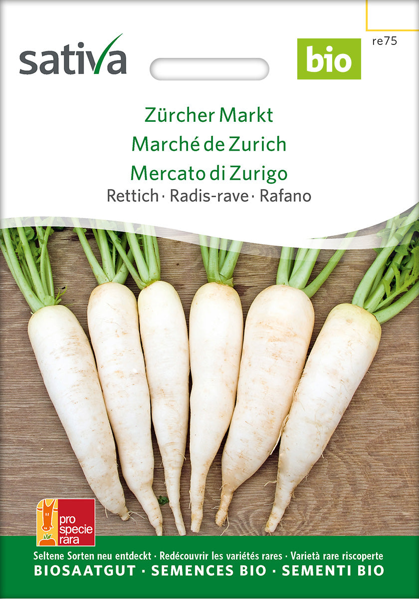 Sativa Rettich Zürcher Markt