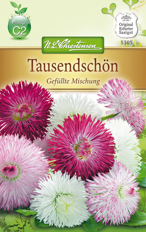 N.L. Chrestensen Bellis peren. Gänseblümchen, gefüllte Mischung