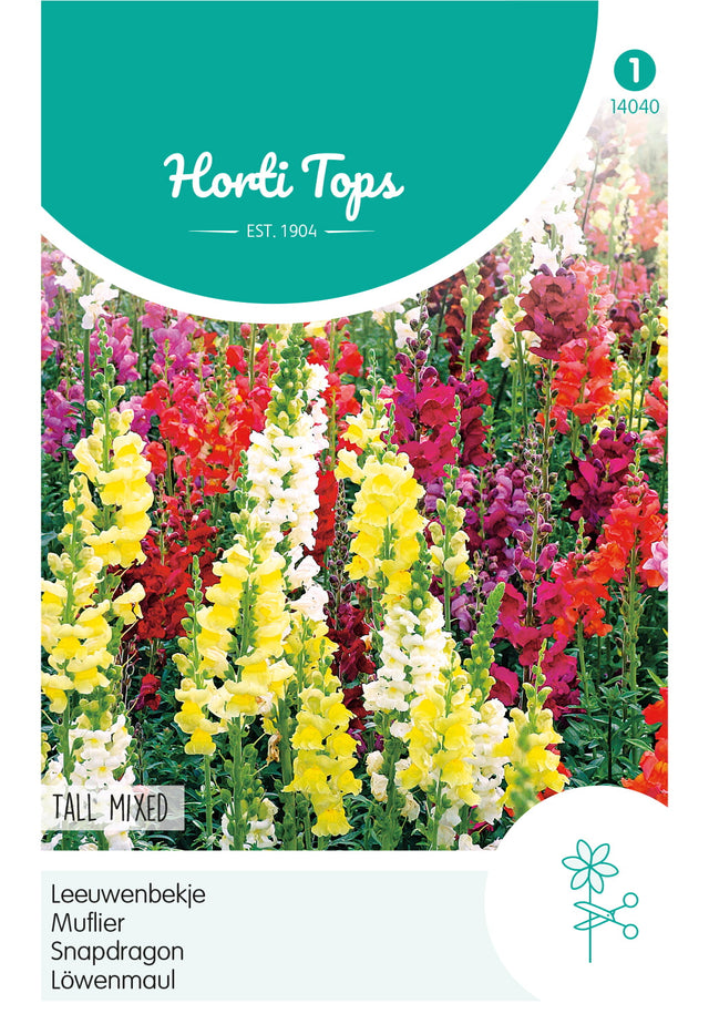 Horti Tops Löwenmaul Hohe Mischung