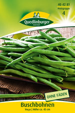 Quedlinburger Buschbohne Valja