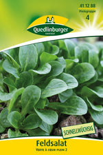 Quedlinburger Feldsalat Verte à coeur plein 2
