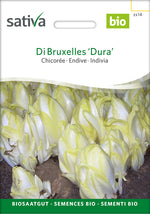 Sativa Chicorée Di Bruxelles ‘Dura’