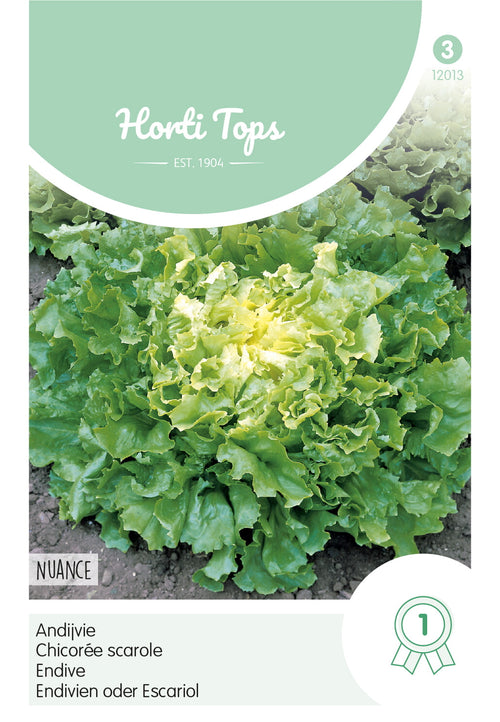 Horti Tops Endivie Escariol Nuance