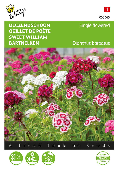 Buzzy Seeds Bartnelken Einfachblühende Mischung