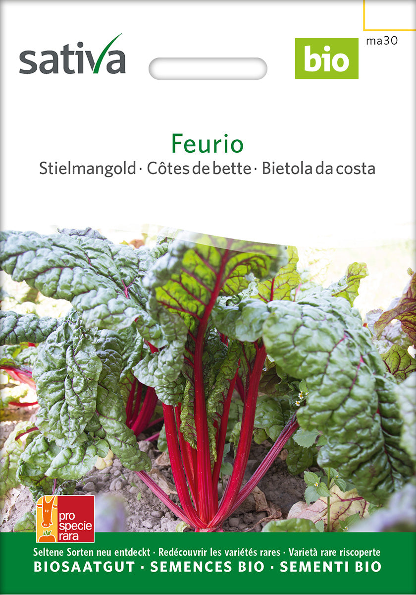 Sativa Stielmangold Feurio