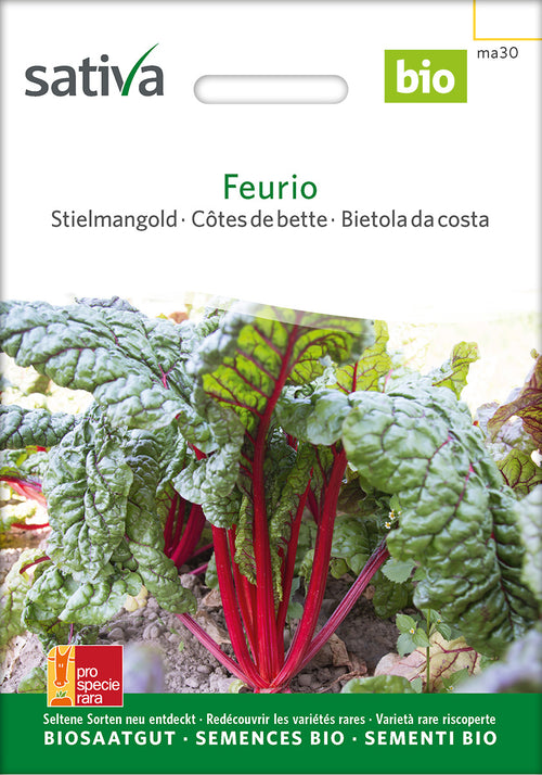 Sativa Stielmangold Feurio
