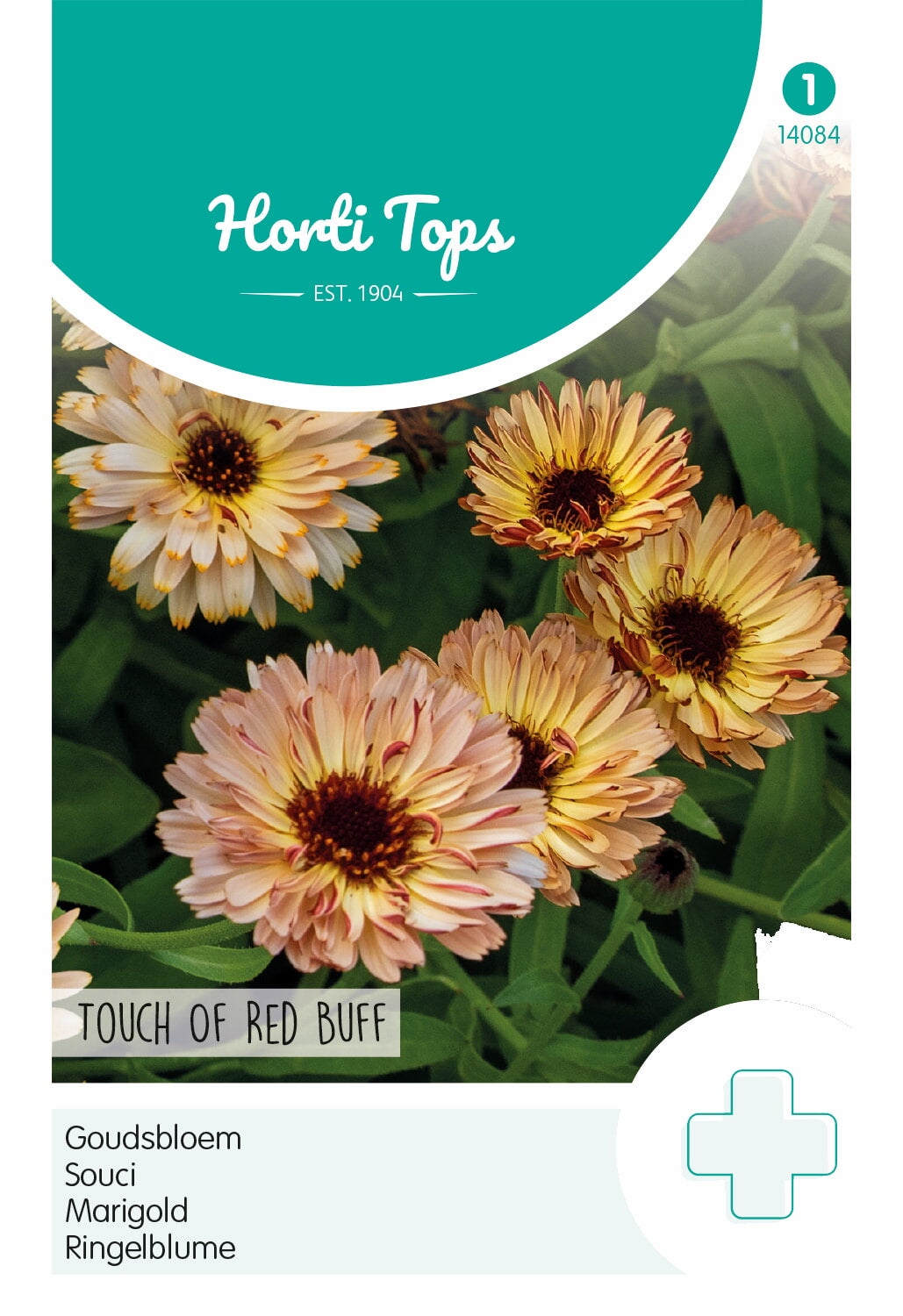 Horti Tops Ringelblume Touch Of Red Buff