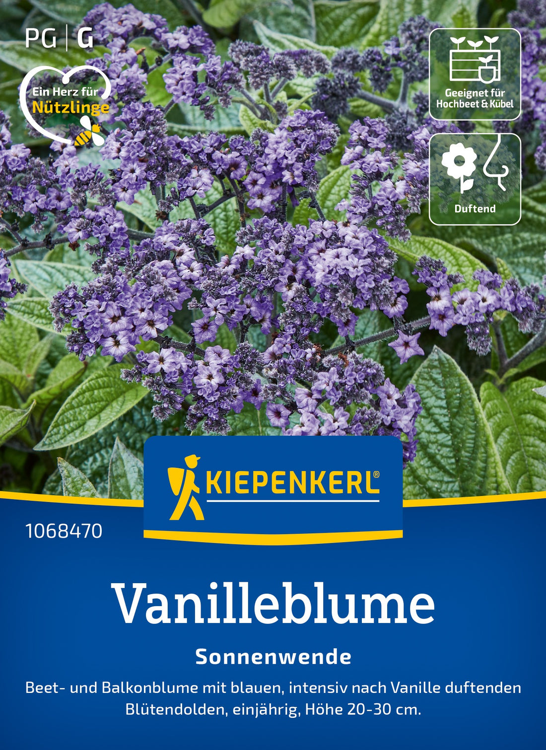 Kiepenkerl Vanilleblumen Sonnenwende
