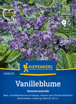 Kiepenkerl Vanilleblumen Sonnenwende