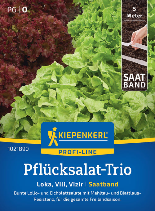 Kiepenkerl Pflück- & Schnittsalat Loka, Vili, Kyrio Saatband