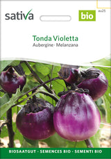 Sativa Aubergine Tonda Violetta