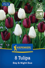 Tulpen Mix Day & Night