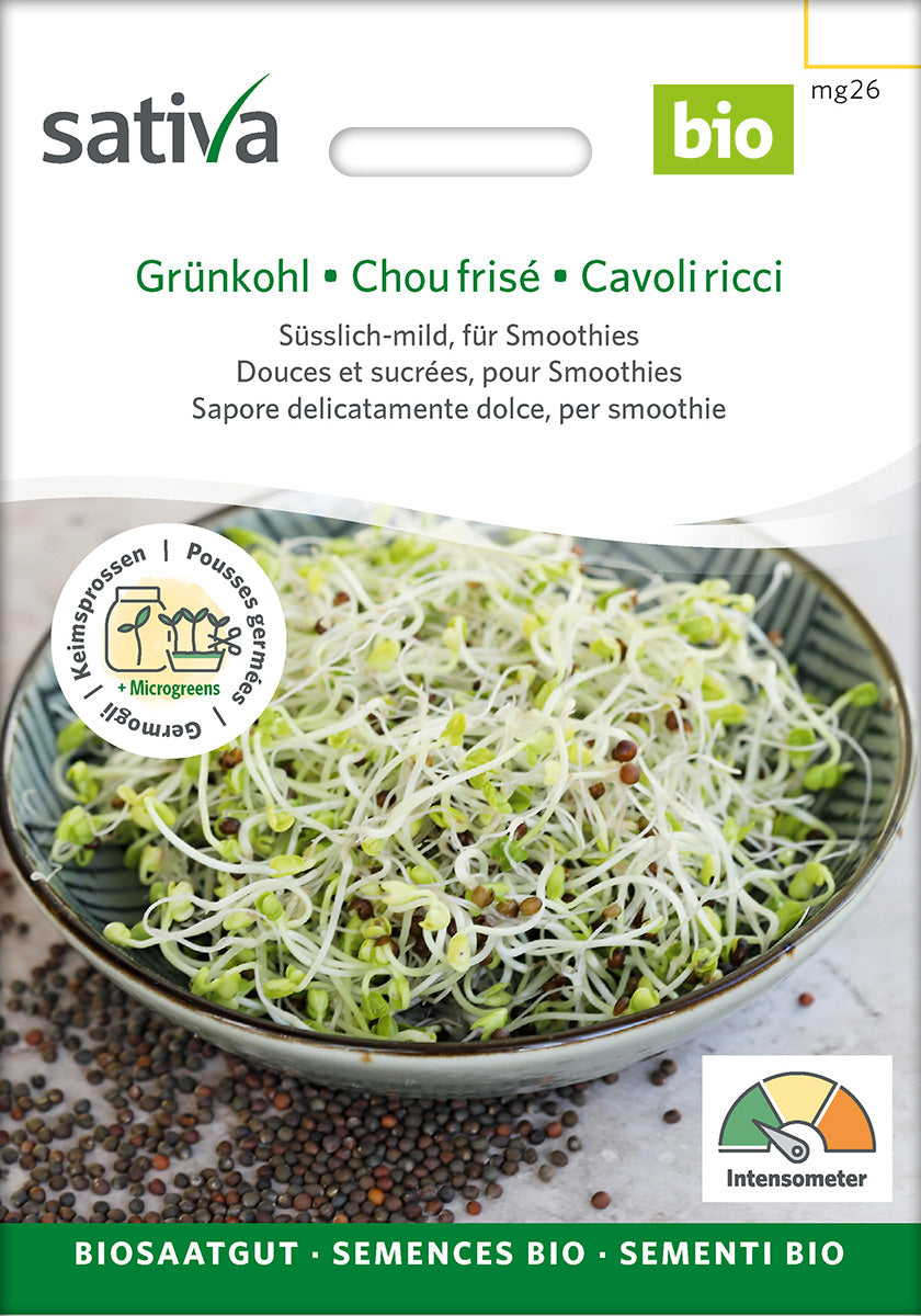 Sativa Keimsprossen Grünkohl