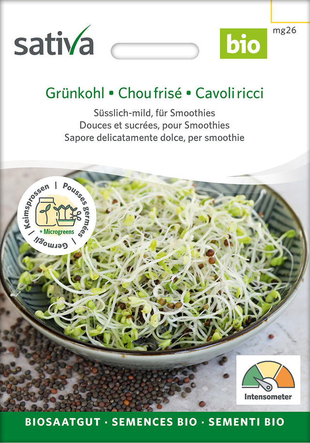 Sativa Keimsprossen Grünkohl
