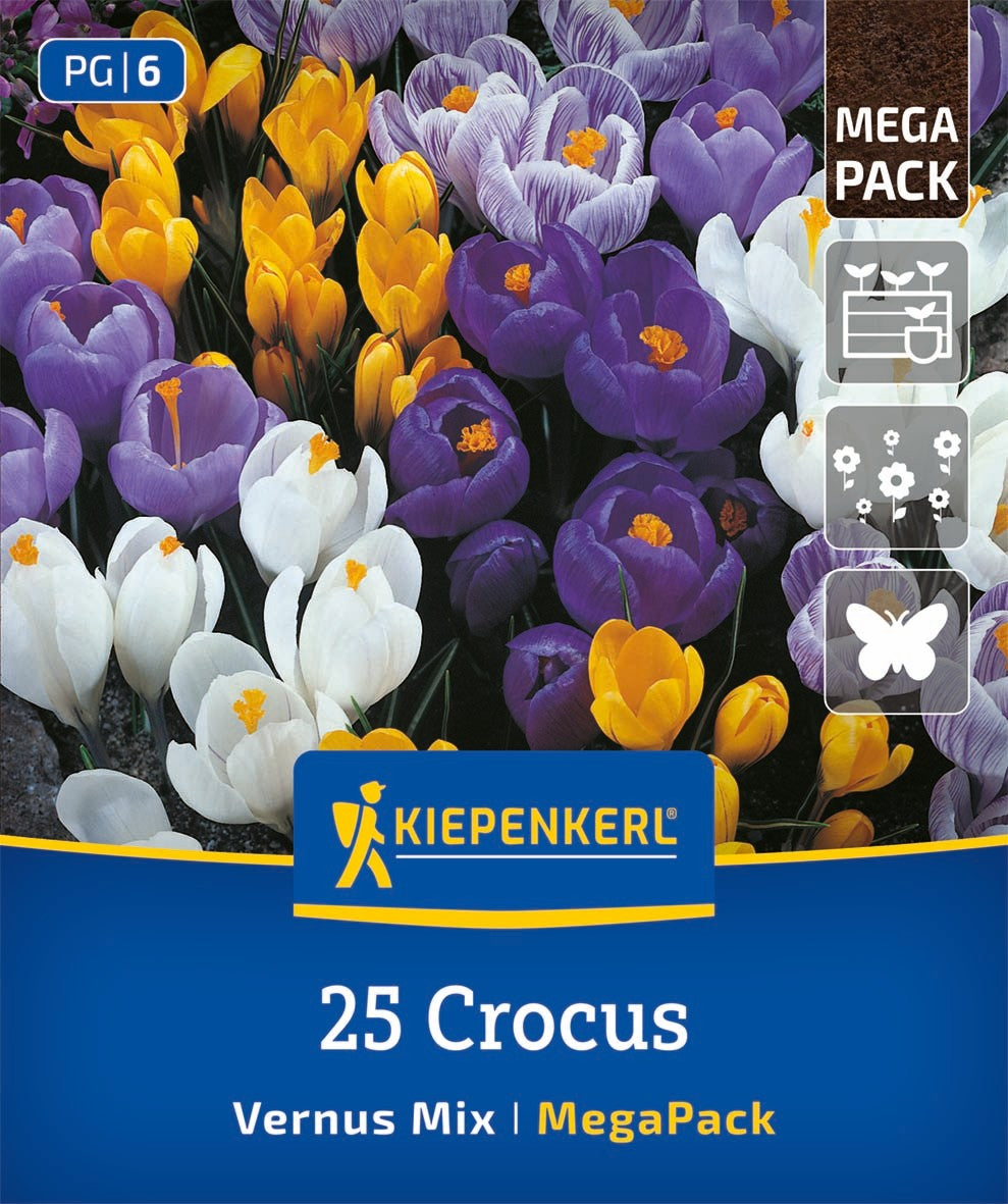 Mega-Pack Gartenkrokusmischung
