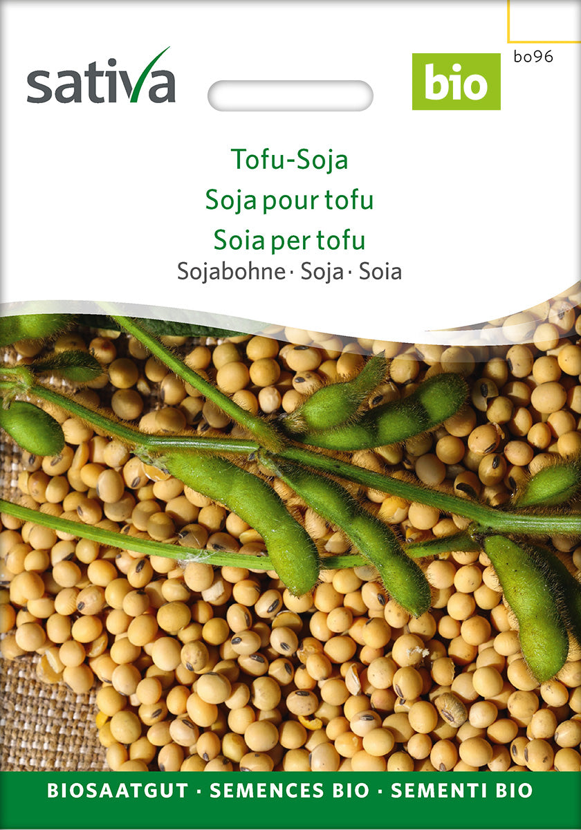 Sativa Sojabohne Tofu-Soja