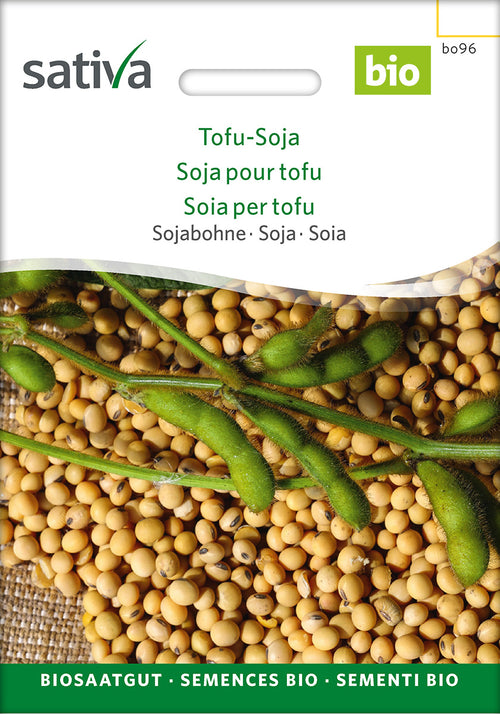 Sativa Sojabohne Tofu-Soja