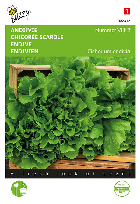 Buzzy Seeds Sommerendivien Bubikopf