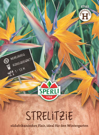 SPERLI Strelitzie