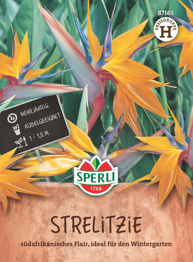 SPERLI Strelitzie