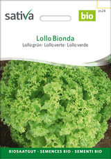 Sativa Lollo grün Lollo Bionda