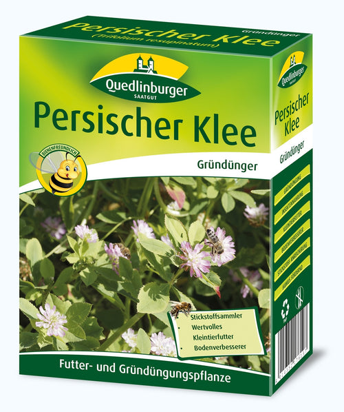 Quedlinburger Gründüngung Persischer Klee