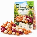 HILD Wintersteckzwiebeln Trio 500 Gramm