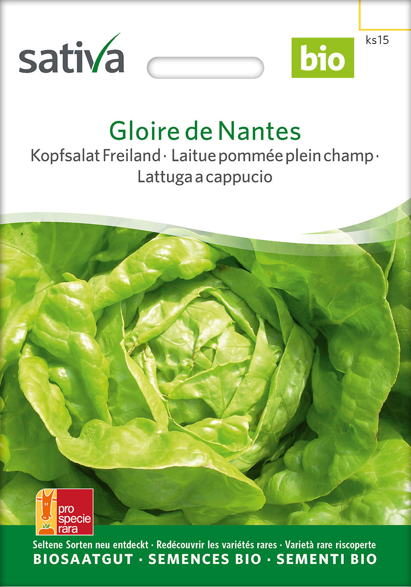 Sativa BIO Kopfsalat Freiland Gloire de Nantes