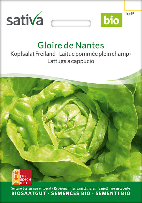 Sativa BIO Kopfsalat Freiland Gloire de Nantes