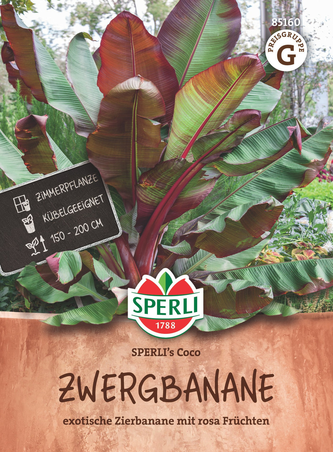 SPERLI Zwergbanane SPERLI's Coco
