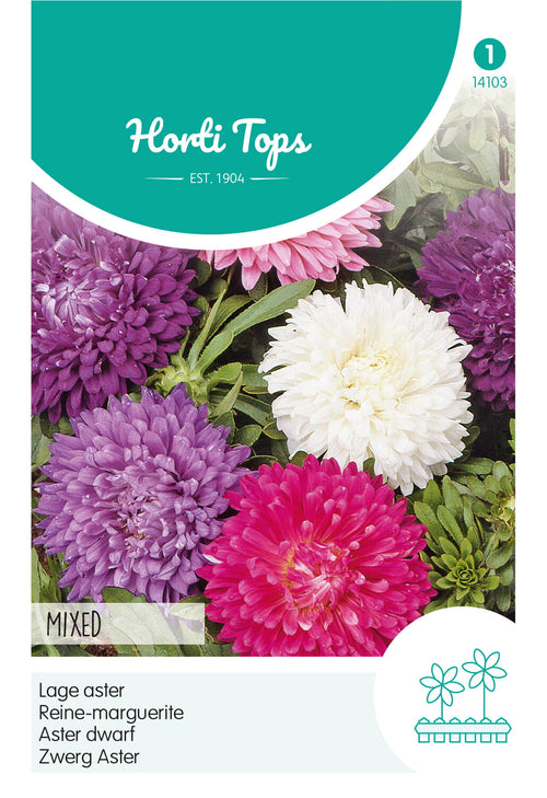 Horti Tops Sommeraster Norddeutsche Gefüllte Zwergmischung