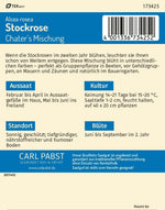 Pabst Keimkraft Stockrosen Gefüllte Mischung