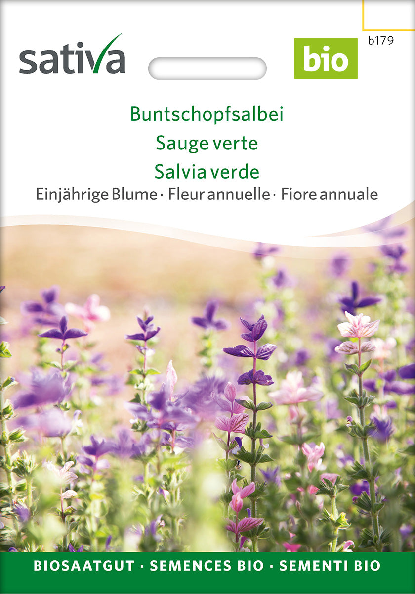 Sativa Buntschopfsalbei