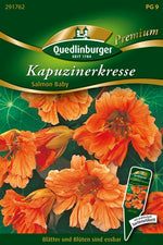 Quedlinburger Kapuzinerkresse Salmon Baby