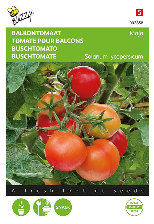 Buzzy Seeds Buschtomaten Maja