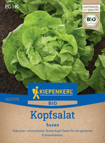 Kiepenkerl Kopfsalat Suzan