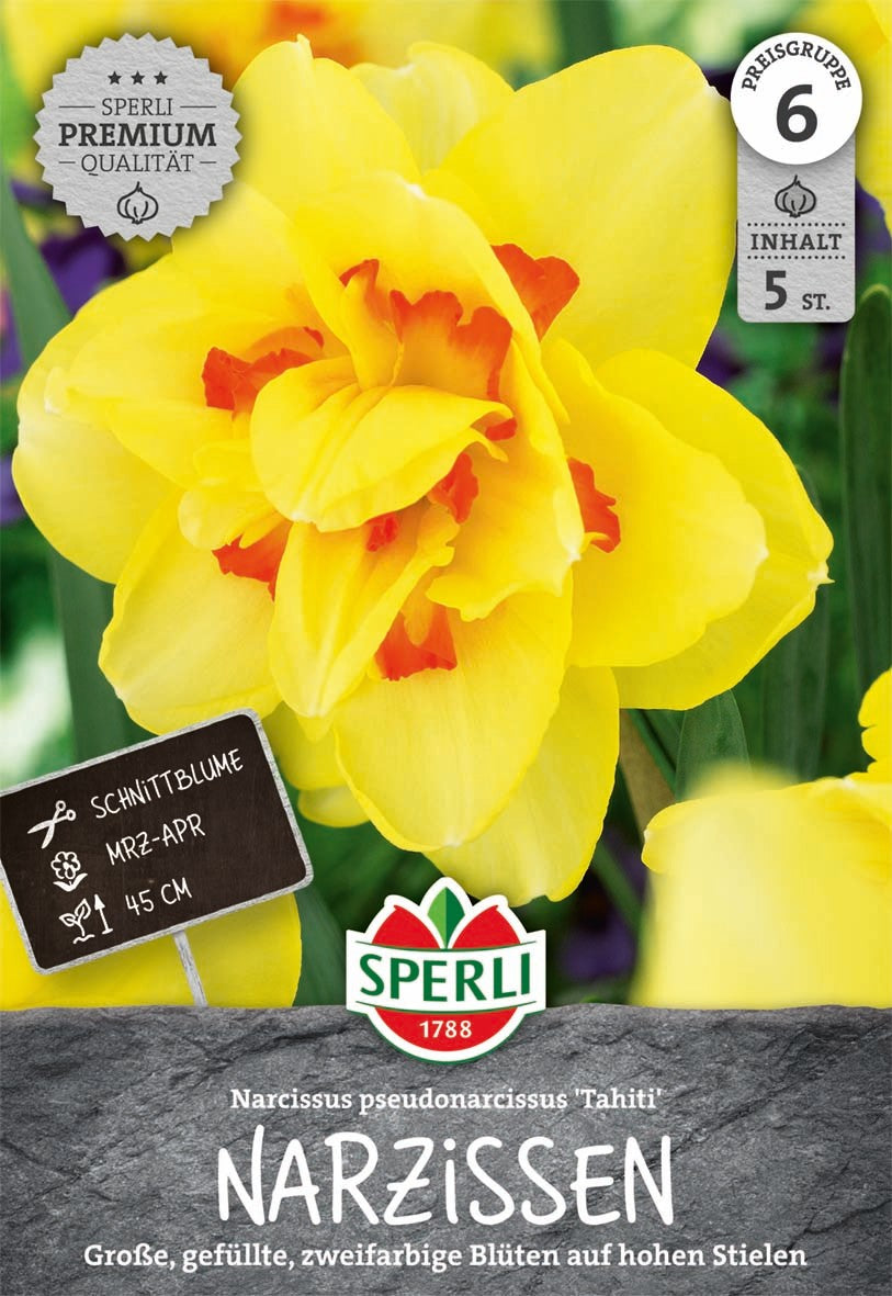 Premium Gefüllte Narzisse Tahiti