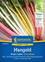 Kiepenkerl Mangold Bright Lights Powersaat